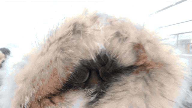 俄罗斯贝加尔湖八日游,俄罗斯贝加尔湖8日游