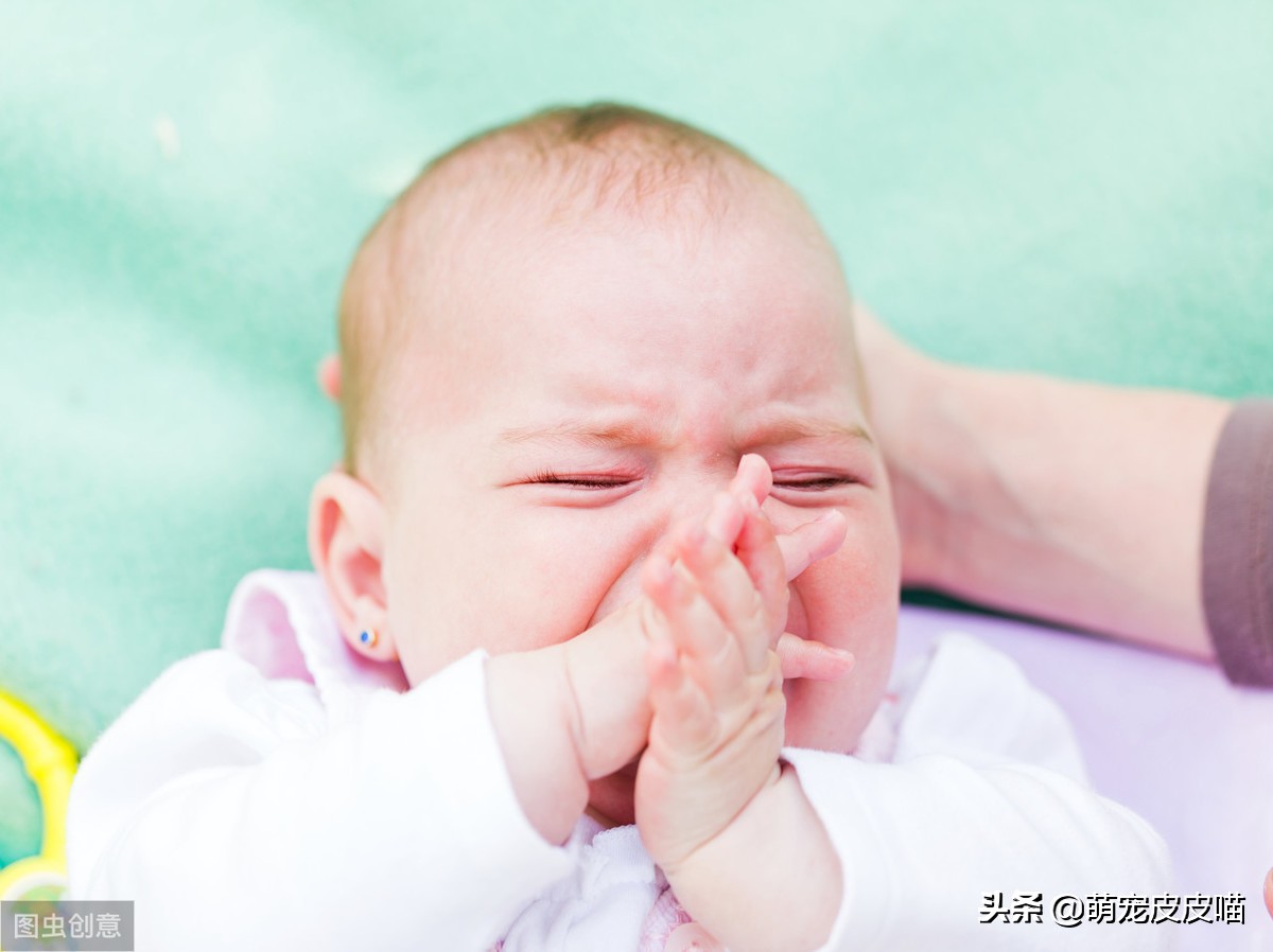 猫咪对着主人放屁是为什么,猫咪放屁特别臭是怎么回事