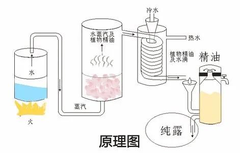 专业祛红血丝修复敏感肌,修复红血丝脸部精油