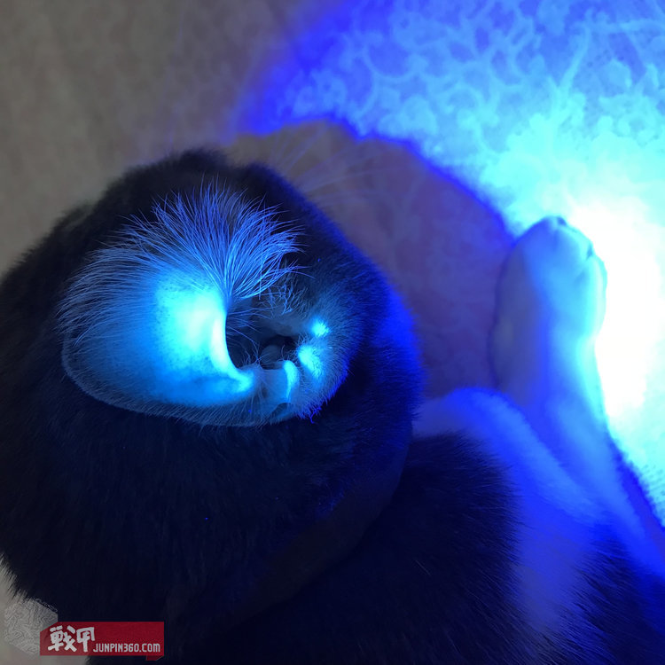 猫猫健康探照灯——纳丽德Dr.K3UV伍德灯简评