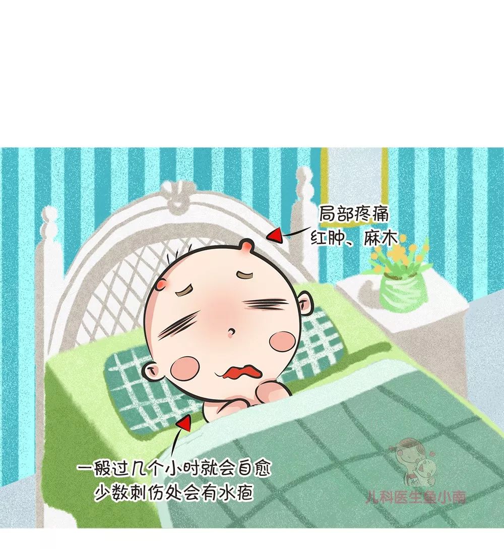 被蜂蜇了有什么自救的方法,被蜂蜇伤该怎么处理