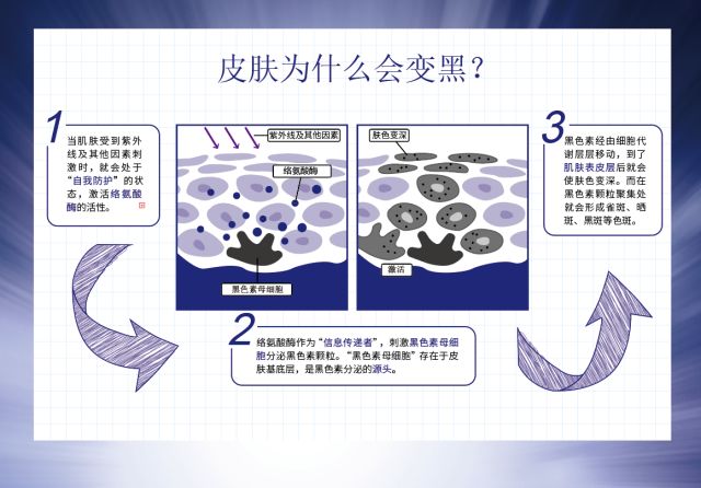 今年夏天手册,掌握这一招这个夏天让你白到发光