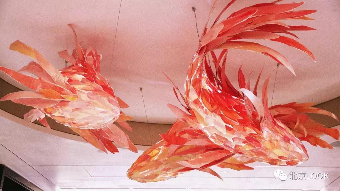 俯瞰故宫北京奢华五星酒店,看故宫全景的酒店