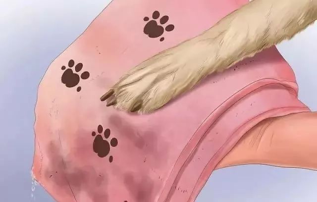 狗狗中暑后好几个小时站不起来,狗狗中暑症状和解救方法及其价格