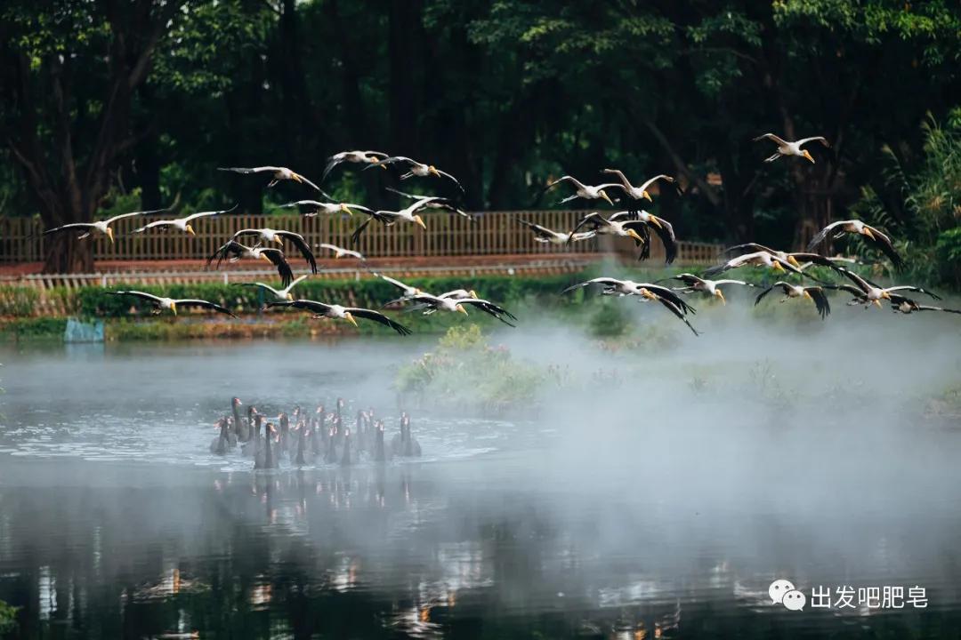 长隆飞鸟乐园怎么去长隆欢乐世界,汉溪长隆地铁站去长隆飞鸟乐园