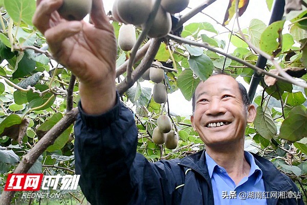 壮丽70年奋进新时代江西,湘潭农业农村乡村振兴