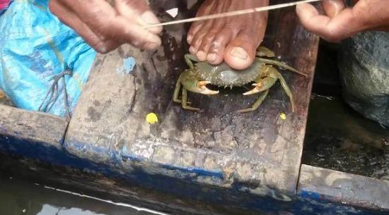 看看印度人是怎么吃方便面的,看看印度人是怎么吃的