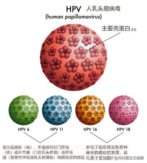 女性感染了HPV，是因为丈夫不忠？