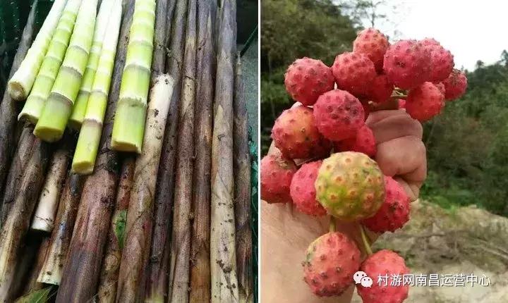 南昌现代庄园别墅,滨江庄园南昌