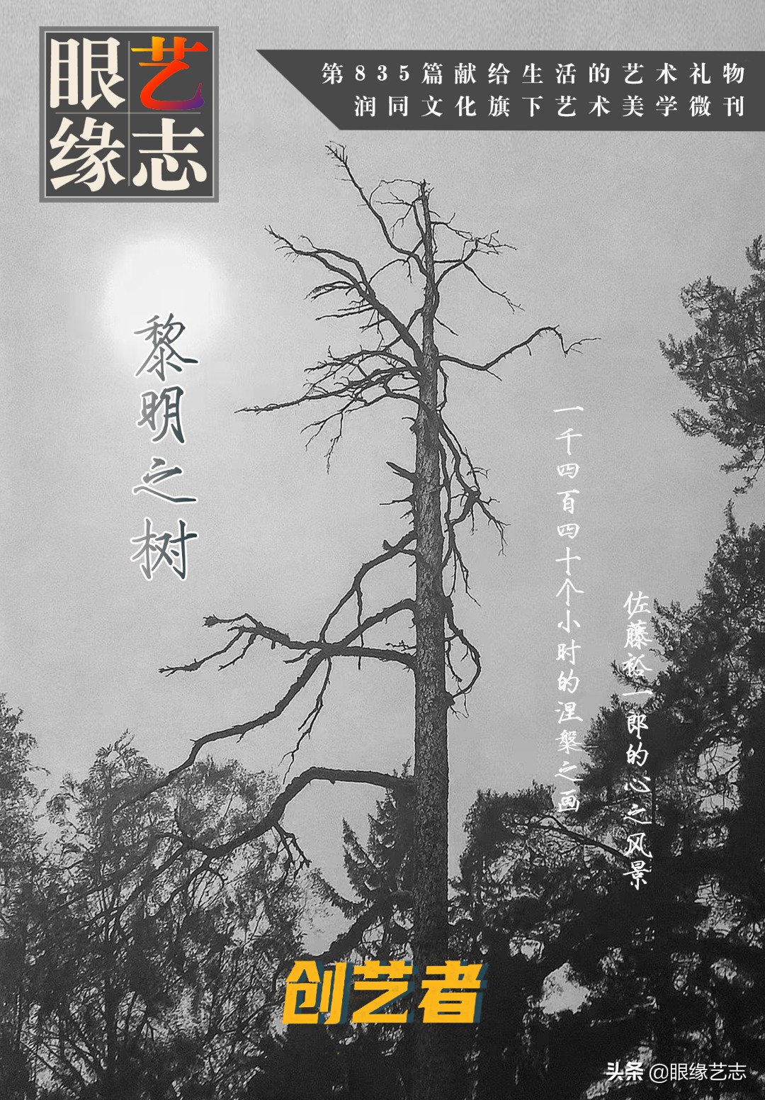 1440个小时的涅槃之画：黎明之树，佐藤裕一郎的心之风景