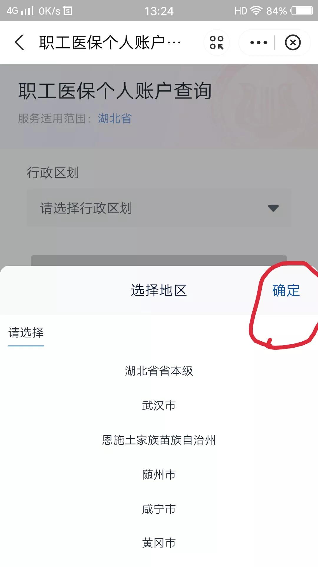 支付宝医保查询缴费记录,武汉医保查询方法支付宝
