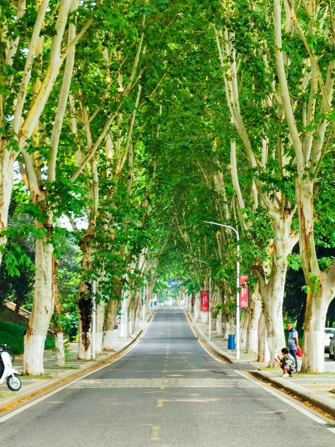 全国第一！华中农业大学真是太太太牛了