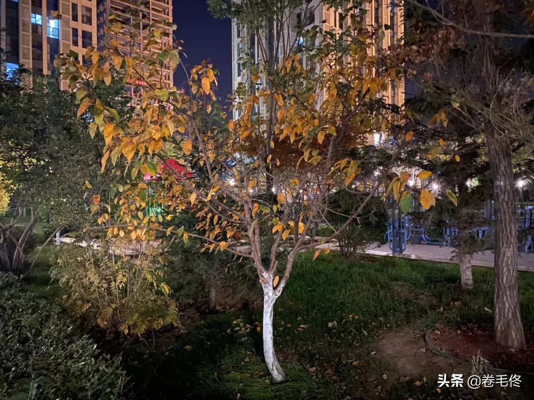 iphone11pro和iphone11拍照的区别,iphone11pro和iphone12拍照