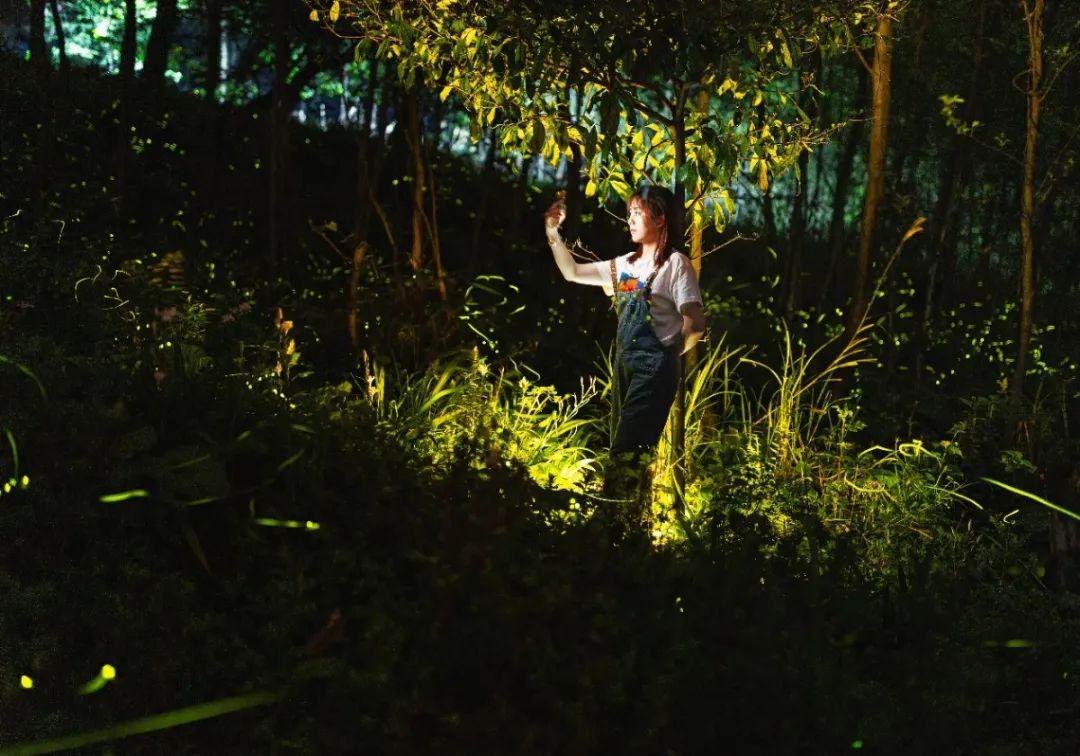 成都周边春季徒步旅游攻略,成都森林徒步旅游攻略