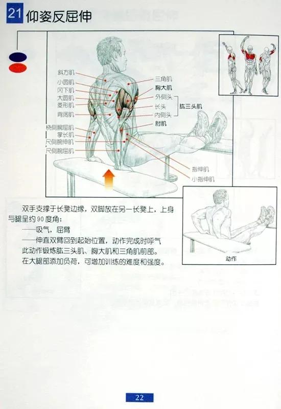 男士居家健身30分钟全身训练,男士健身保健操40至50岁