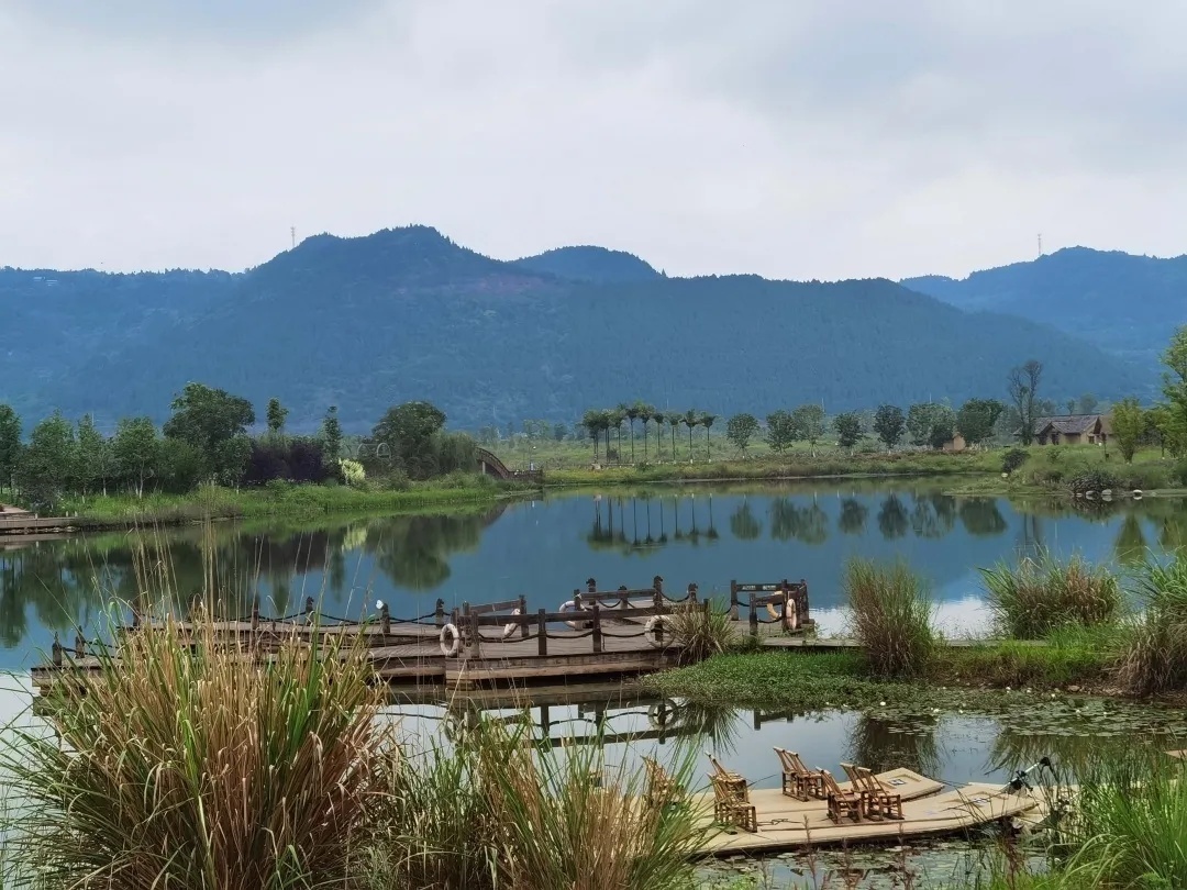 社长总编主编,社长总编