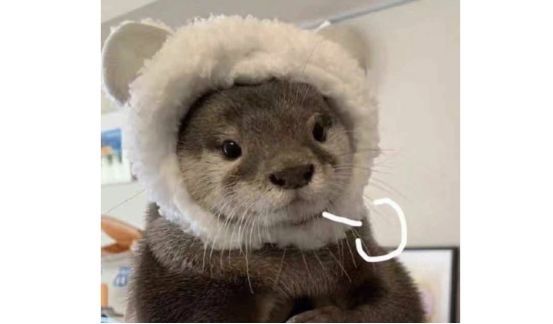 代沟的最新总结,代沟通俗易懂