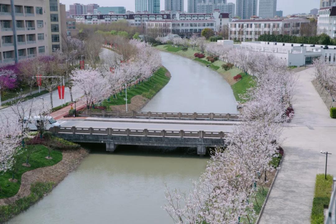 15号线运行线路示意图,15号线看轨道