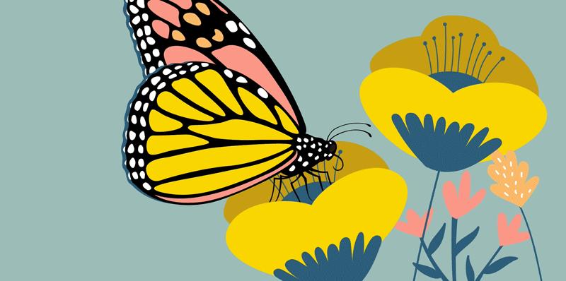 adobephotoshop国际认证标准教程,adobephotoshop经典教程彩色版