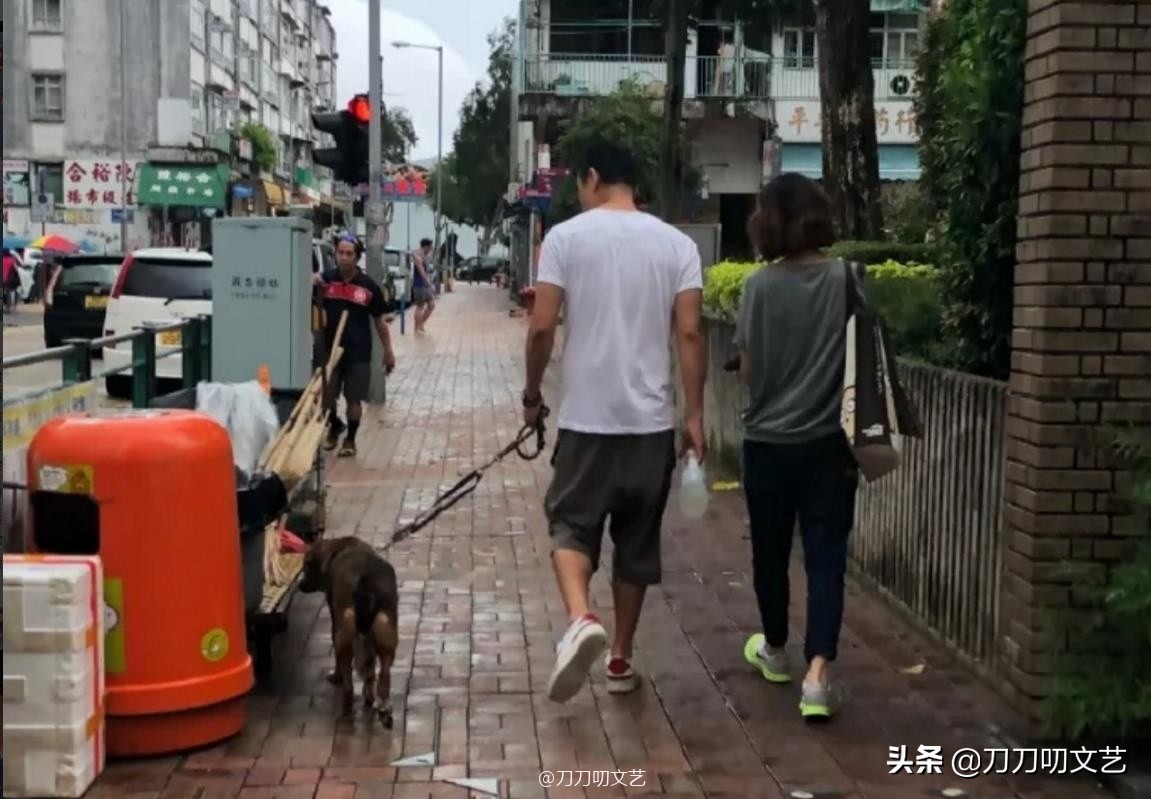 郭蔼明刘青云让人羡慕到哭的夫妻,刘青云拿影帝表白郭蔼明