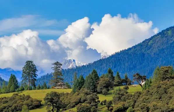 最美拉林公路自驾,高速路上一不小心误入仙境