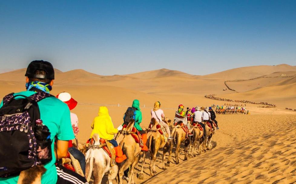 为什么在沙漠里遇到西瓜不能吃呢,沙漠里遍地是西瓜为何却无人敢吃