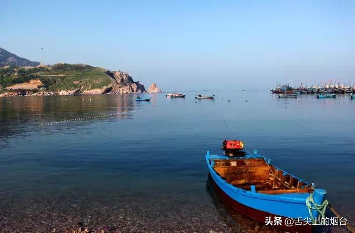 烟台海鲜小杂鱼批发,烟台海鲜自提