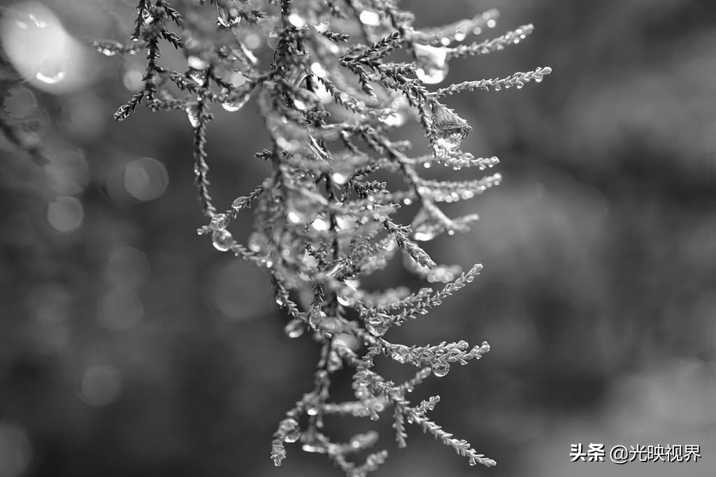 有关雨的美图,雨总能带给人直观的感受
