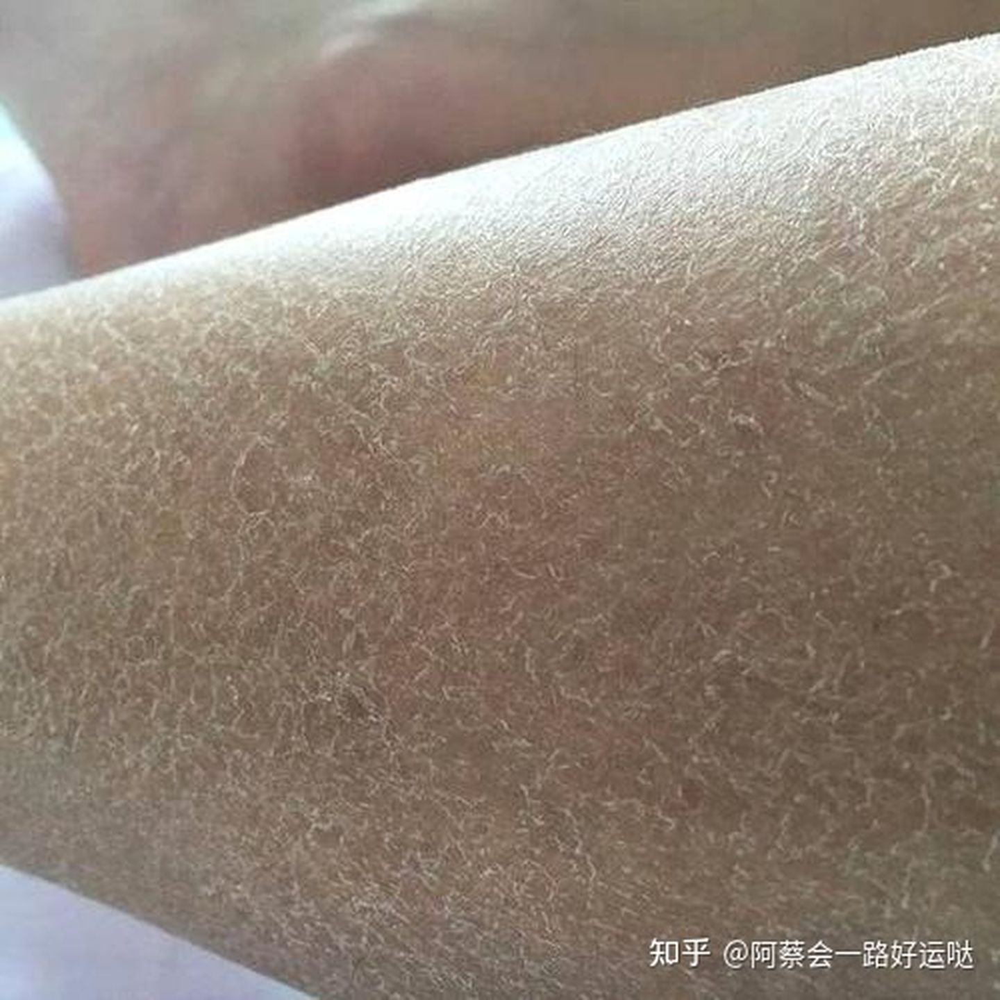 冬季护肤平价学生,00后学生护肤推荐