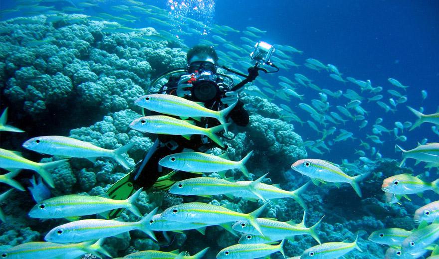 海南分为哪几个岛,海南的分界洲岛好玩吗