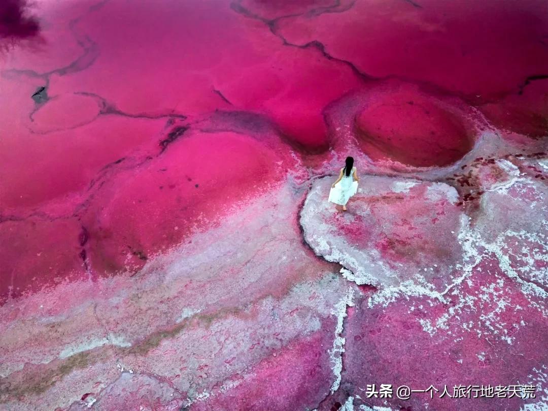 天问一号登陆火星的全过程讲解,天问一号环绕火星之旅感悟