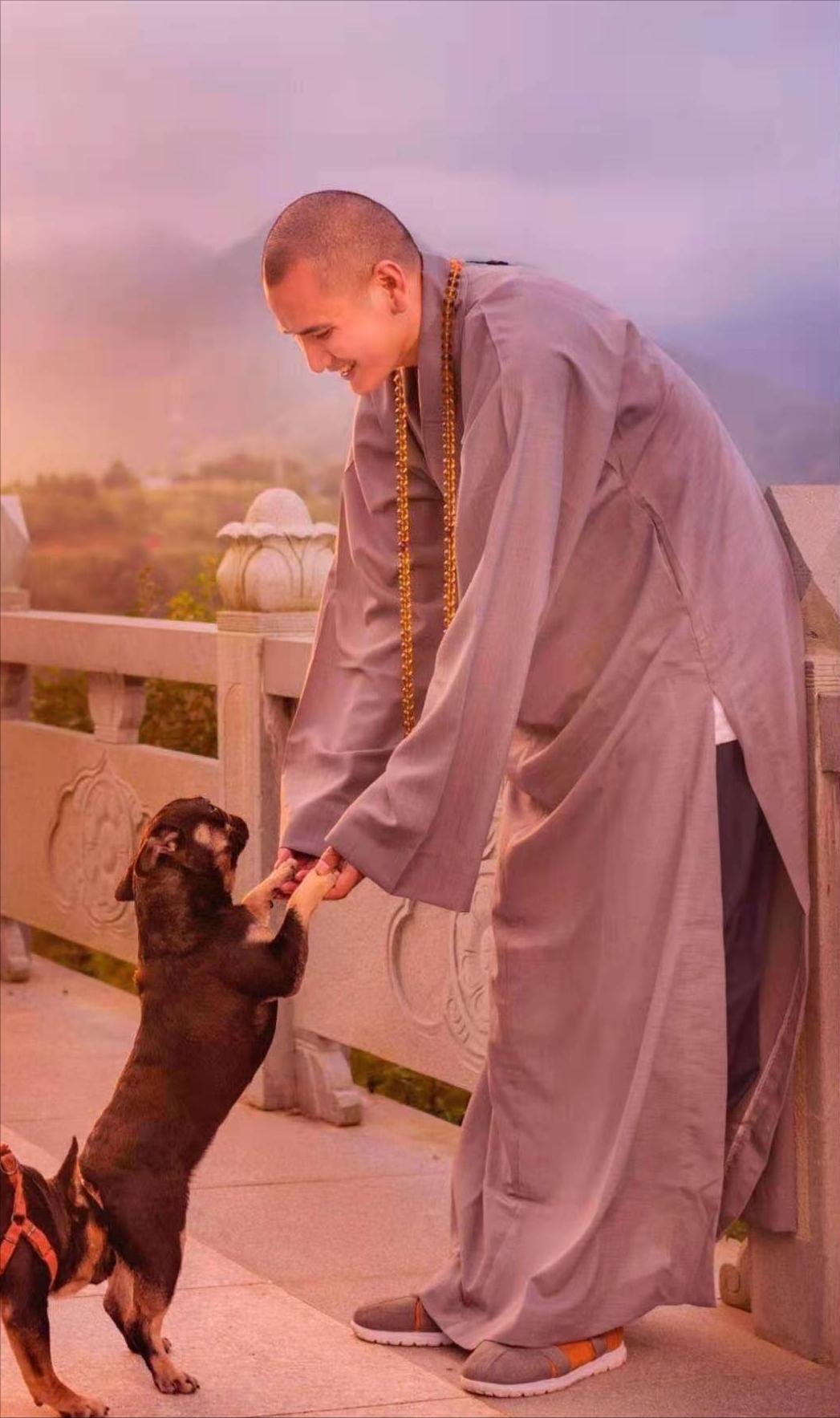 最帅和尚释明心的传奇人生,辞去铁饭碗出家当和尚释明心