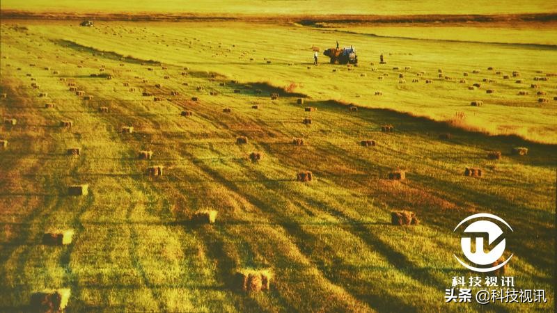 优派px701-4k和明基tk800m哪个好,4k高清投影仪家庭影院