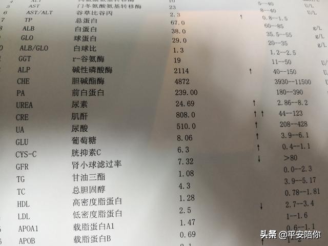 尿毒症患者长期血液透析后有哪些并发症？怎样预防？