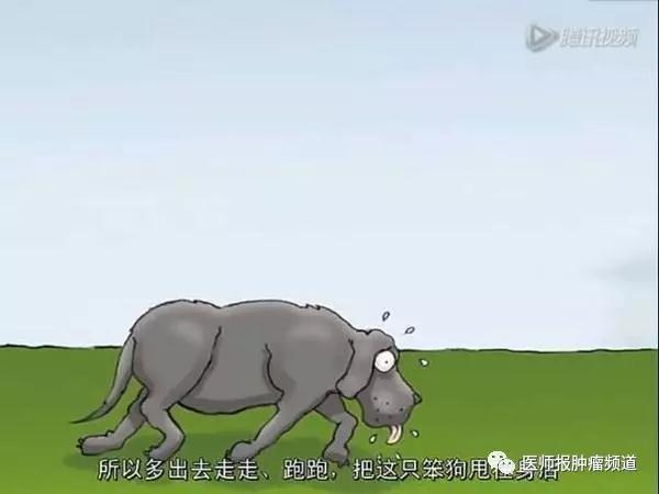 我有一只叫抑郁症的黑狗音频,我有一只叫抑郁症的黑狗主要内容