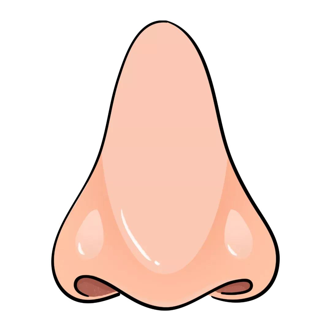 鼻头缩小手术风险大吗有后遗症吗,只做鼻头鼻翼缩小手术多少钱