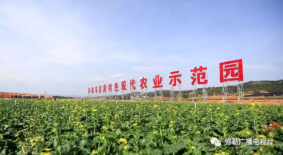 什么是弥勒教,什么是弥勒尊佛