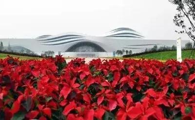 2020城市排名廊坊21名,廊坊最新二线城市排名