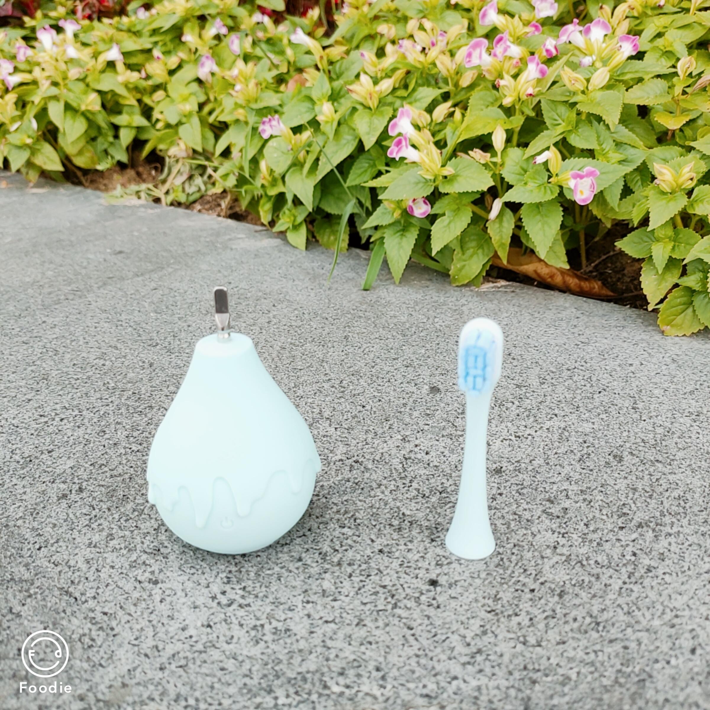 300元以内的儿童电动牙刷测评,宠物电动牙刷好不好