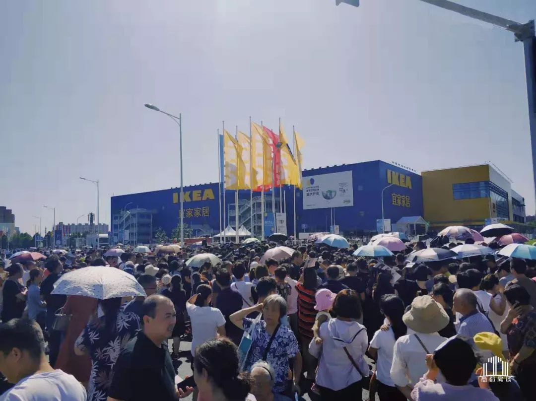 郑州宜家开业盛况,郑州宜家开业放鸽子