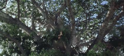 一部史诗级战争电影场面震撼残酷,震撼人心的魔幻战争电影场面