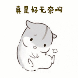 猫咪尿不出来可以吃什么药,猫咪尿不出来了要吃阿莫西林吗