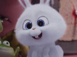 感觉自己萌萌哒外国版,感觉自己萌萌哒卖萌无罪