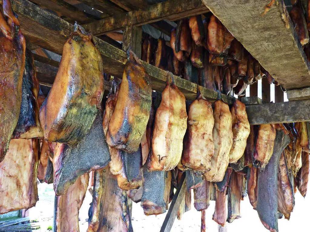 日本人为什么只吃鱼翅不吃鲨鱼,为什么吃鲨鱼的鱼翅而不吃鲨鱼