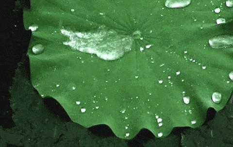 暴雨天鞋子湿了怎么办,夏天鞋子被淋湿怎么办