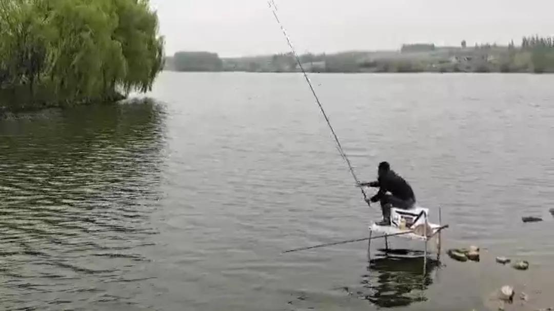 1.0子线遛十斤大鲤鱼,野钓10斤鲤鱼遛鱼技巧