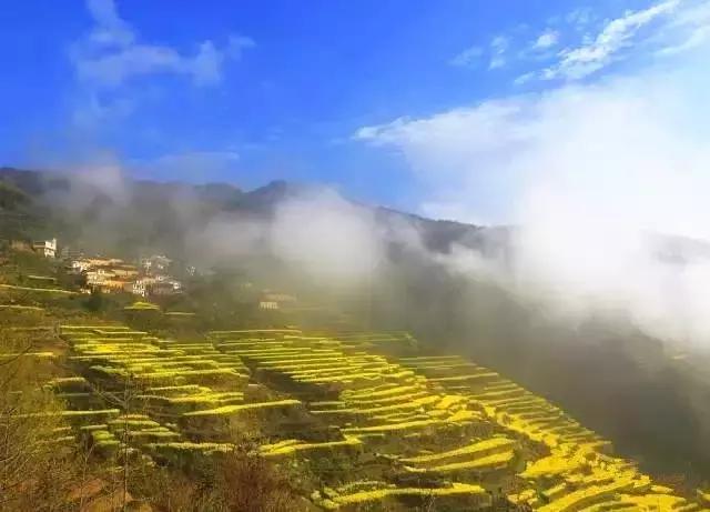 大自然唯美黄山风景摄影,打卡歙县蜈蚣岭高山茶梯田