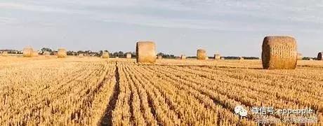 哪种燃煤锅炉最省钱又好用,节能环保锅炉用什么燃料最好