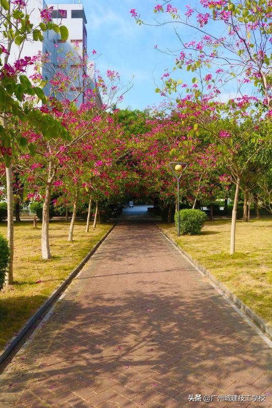 校园环境的简介,校园环境篇