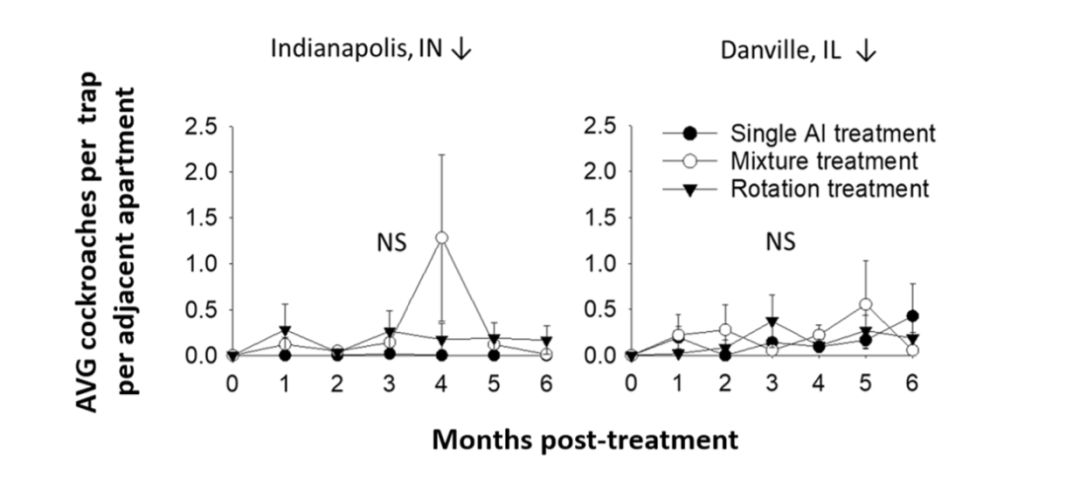 教你一招轻松解决蟑螂,家有蟑螂不要急教你一招